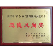 2011长江杯第四届妇女运动会道德风尚奖