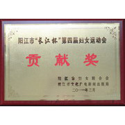2011长江杯第四届妇女运动会贡献奖